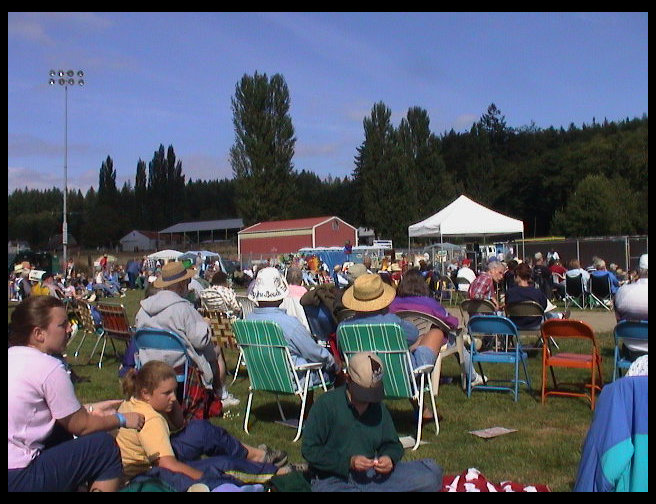 Many people enjoying the music