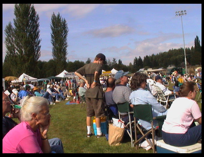 Many people enjoying the music