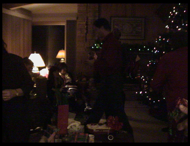 A semi-dark picture, but you can see the tree lights.