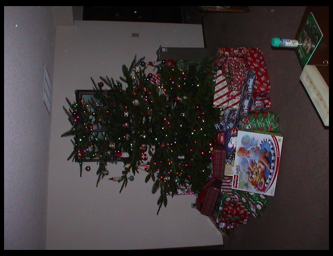 A different shot of the tree.