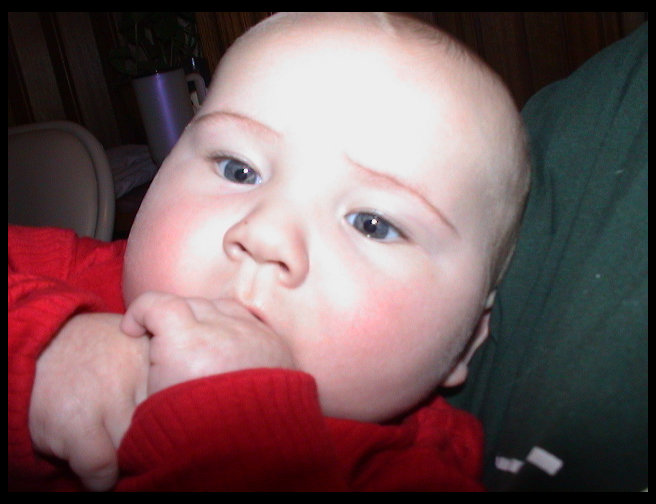 Doesn't he look excited about Christmas?