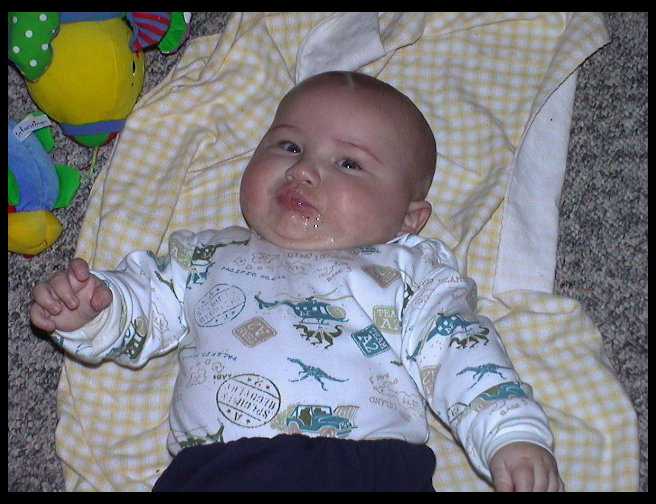 Logan the day after Christmas, enjoying some floor time.