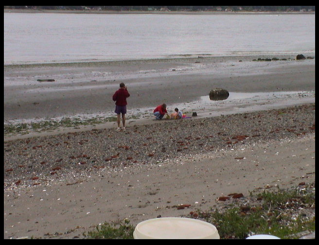 People enjoying the beach. 