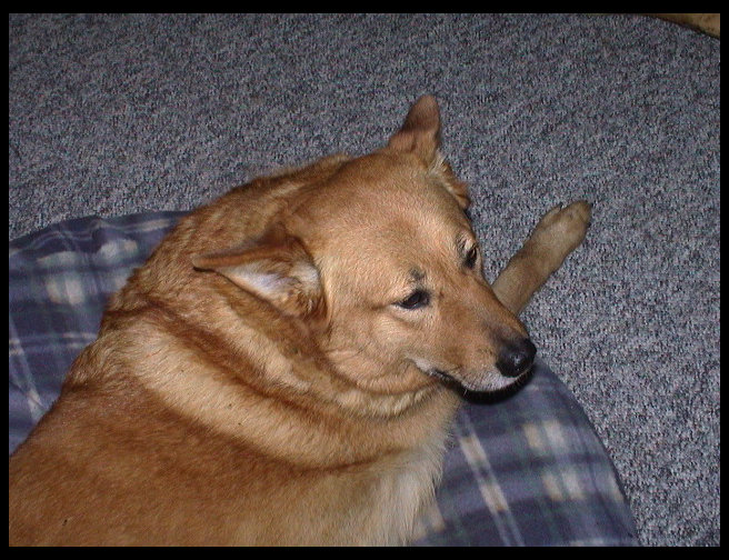 Beautiful Baja relaxing.