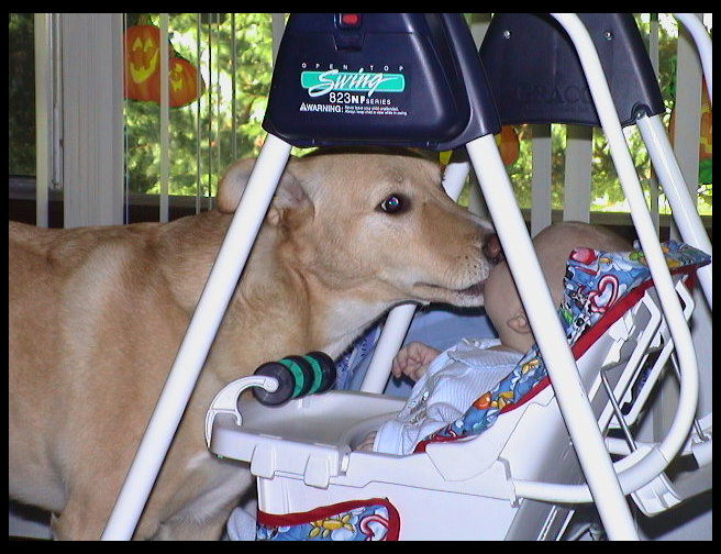 Maya still kissing her boy.