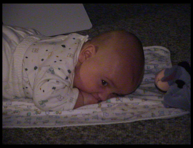 Logan enjoying a quiet moment.