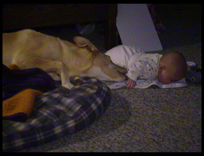 See...Maya really thinks he is her boy.