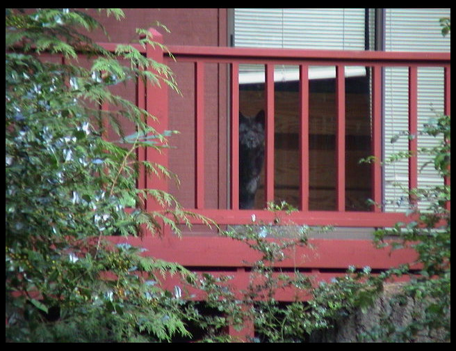 Zeke peeking out at us