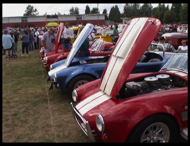 Row of Shelby Cobras