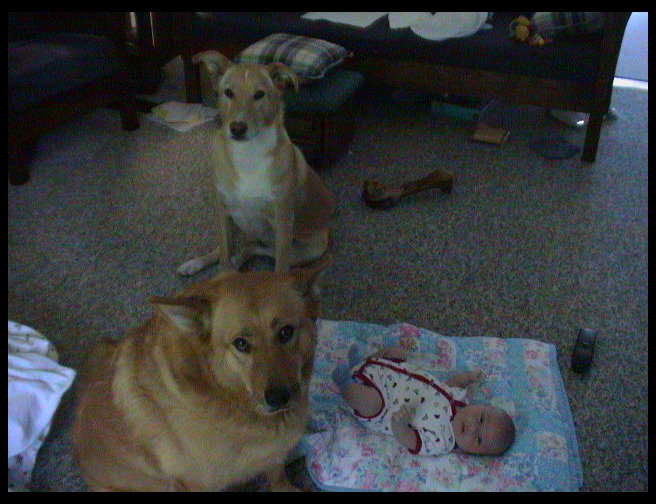 Baja, Maya and Logan hanging out