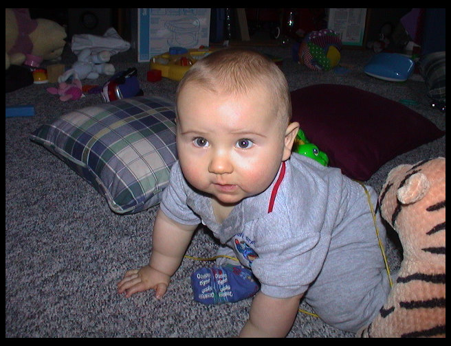 Hey, where are you going?  We are trying to take pictures of you.