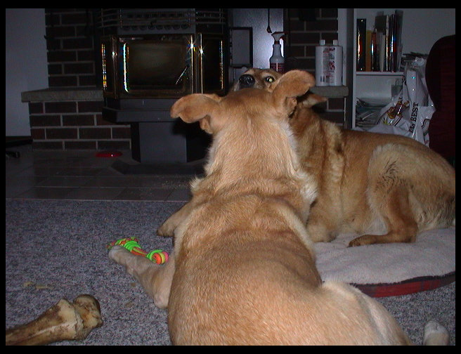 What?  They don't want pictures either?