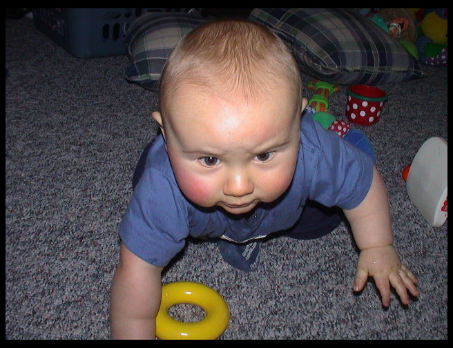 Uh oh, he is heading for the camera.