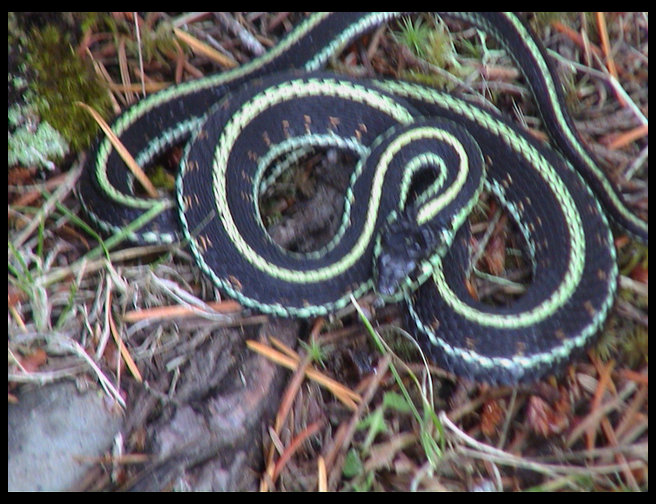 He really did not want us to bother him.