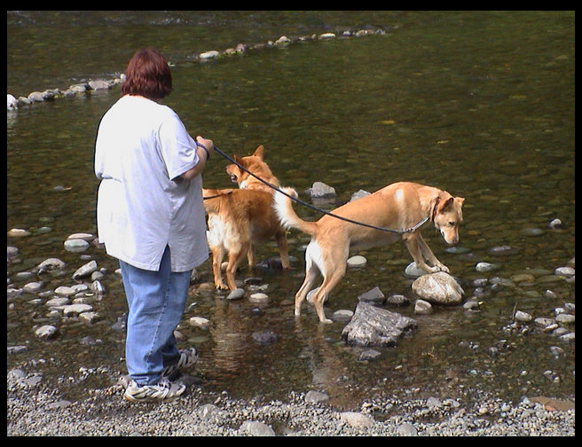 Sandra, Baja and Maya in the Satsop.