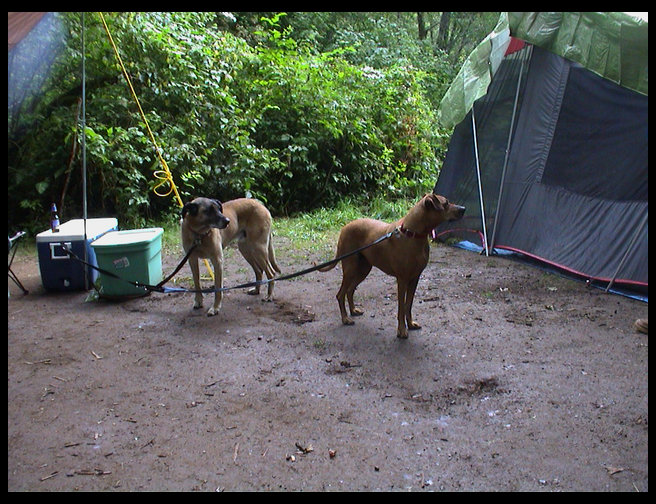 Cruso and Ceircie camping.