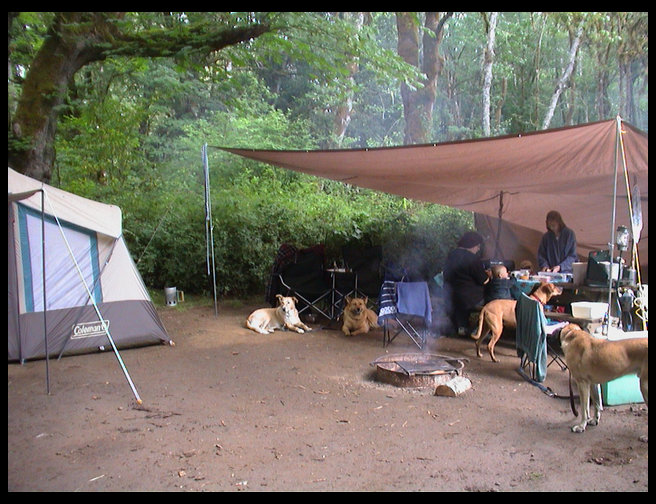 Our humble little camp site.