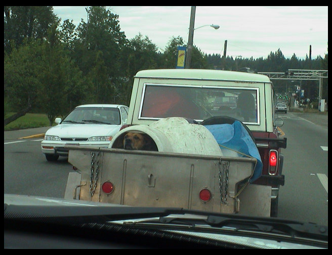 Ciercie sticking her head out.