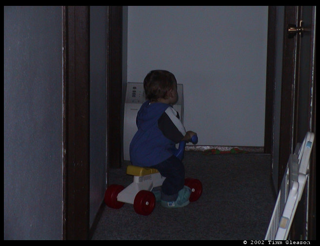 Logan still wheeling around.