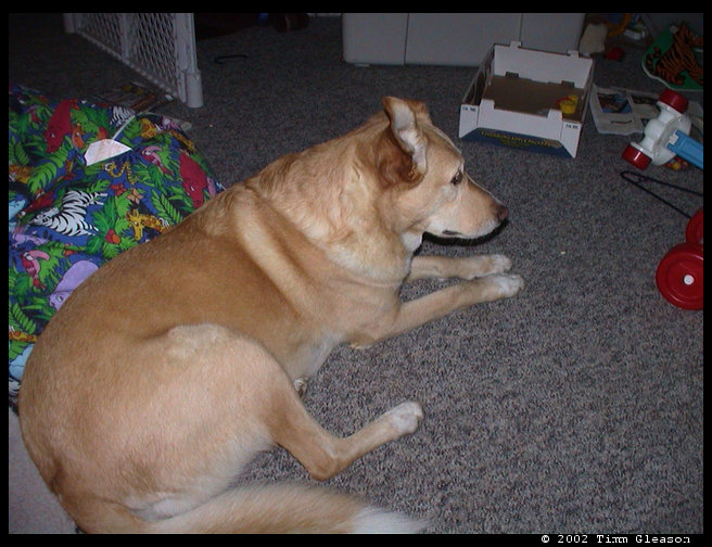 Maya checking something out. 