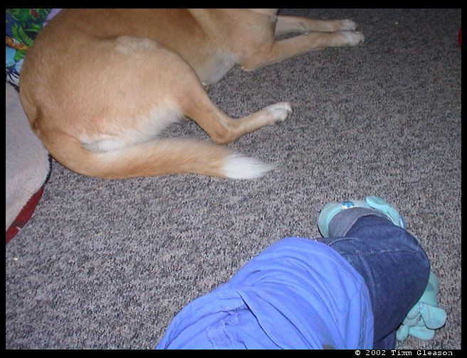 Lovely shot of Maya's butt and Logan's butt.