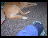 Lovely shot of Maya's butt and Logan's butt.