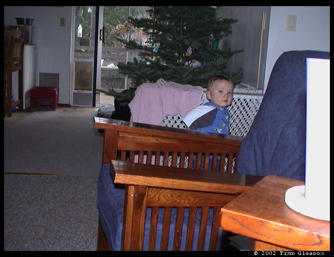 Logan kind of standing in front of our Christmas Tree.