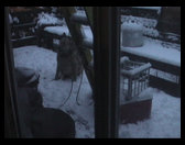 Snow on the back deck.