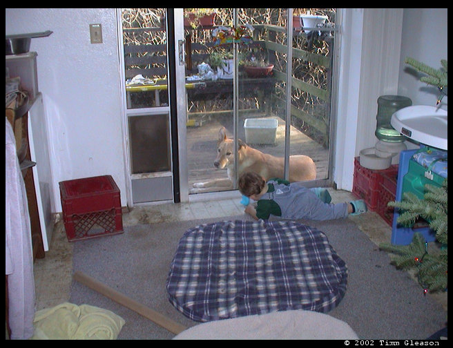 Look at these two. One inside and one outside.