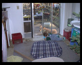 Look at these two. One inside and one outside.