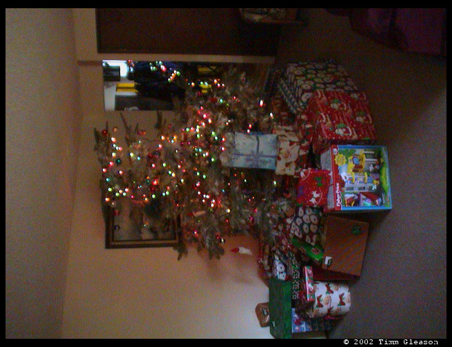 Christmas at Grandma and Grandpa's house.