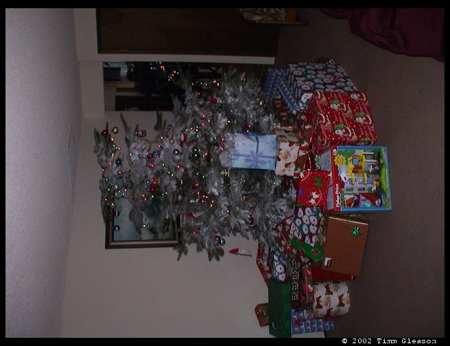 Grandma and Grandpa Trogdon's tree.