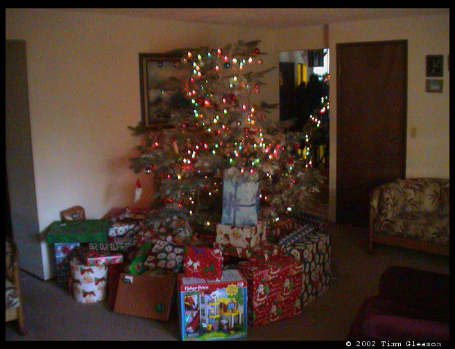 Picture of the tree and Grandma and Grandpa Trogdon's house.