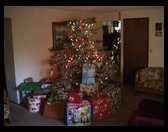 Picture of the tree and Grandma and Grandpa Trogdon's house.