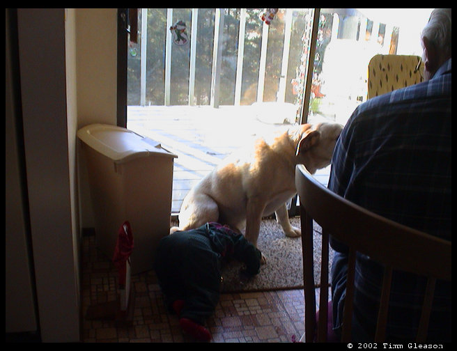 Logan loves Uncle David's dog Bo and Bo loves him.