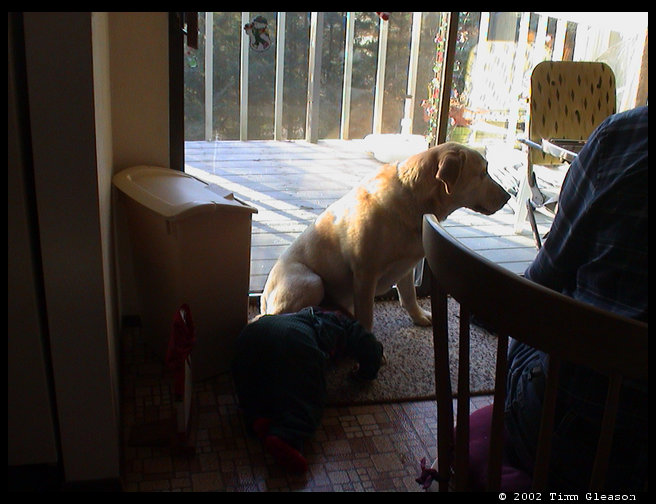 Logan and Bo cuddling up.
