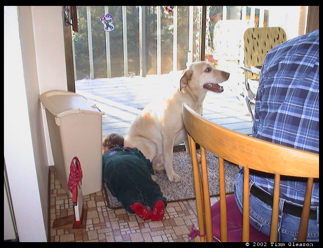 Logan laying on Bo's tail.