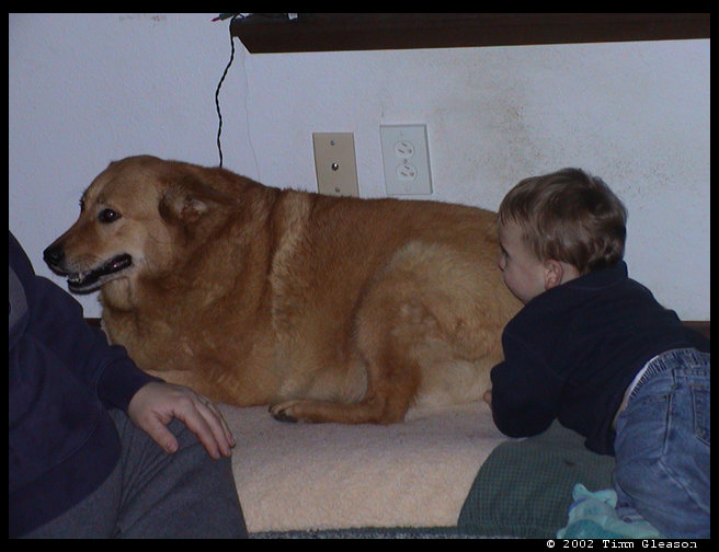 Baja and Logan having fun.