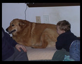 Baja and Logan having fun.