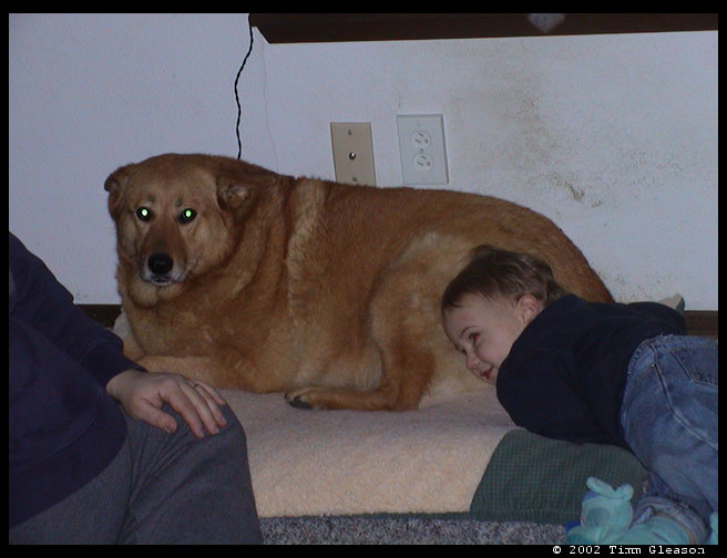 Logan relaxing on the Pooh Bear.