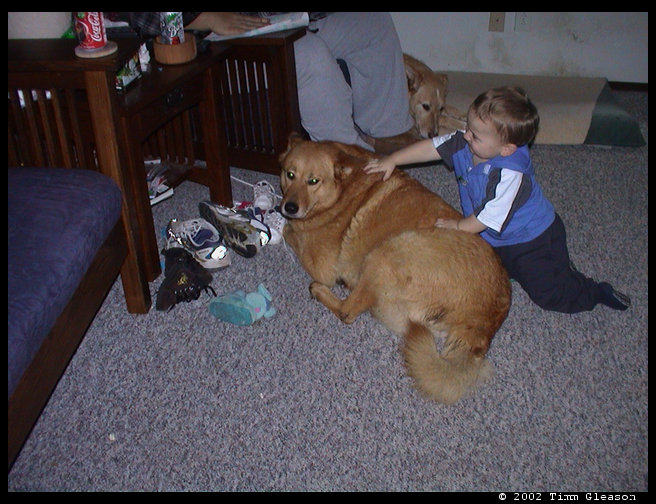 Logan giving loves to Baja