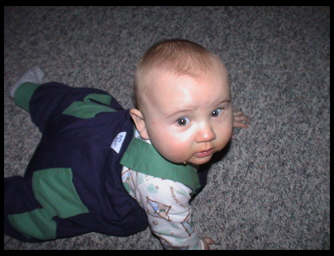 Baja left, she loves him but doesn't want him to crawl on her.