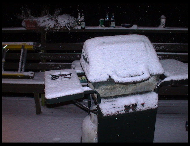 Snow...picture taken on back porch when it just started.
