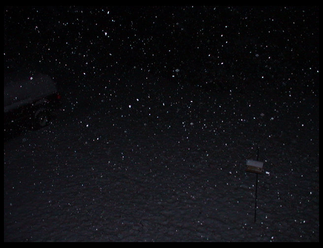 Really liked the fact you could capture the falling snow, so took another pic.