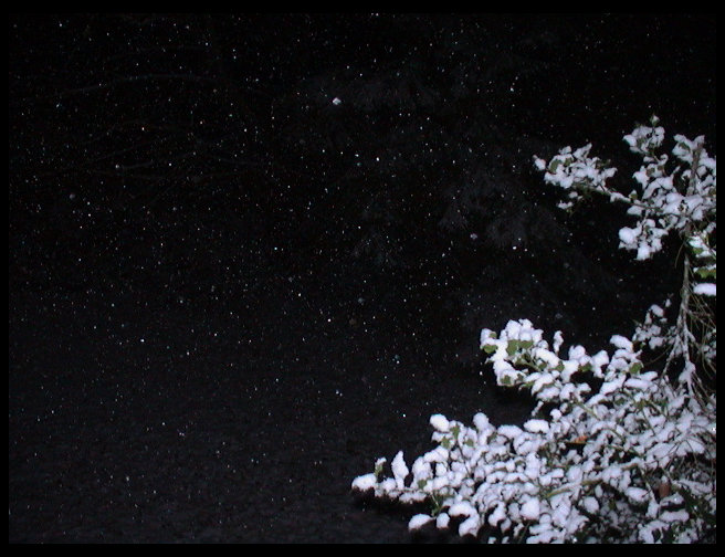 Another cool pic of snowing coming down.