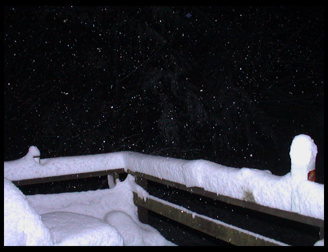 Here is the back porch about 2 AM. Quite a bit has fallen.