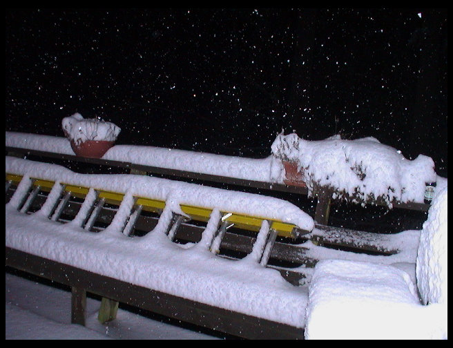 Another picture of the back porch.