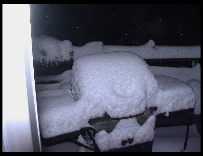 This was about 4 AM, just about time to get Timm up for work...will he go?