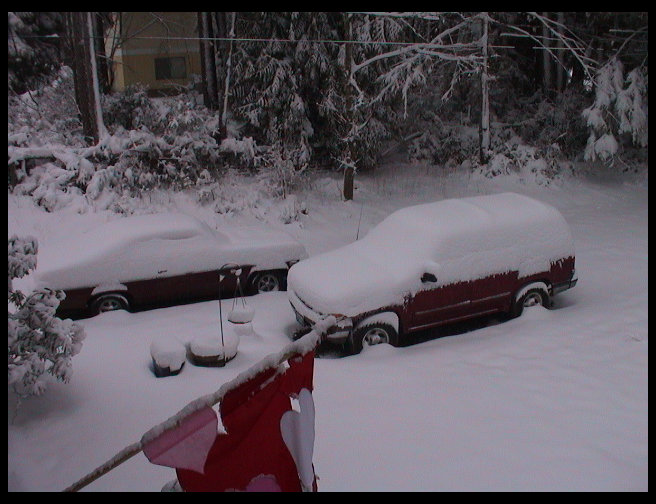 Nope, Timm did not go, note both cars in the driveway.