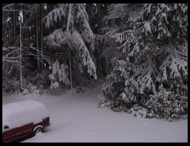 Look at those beautiful trees.